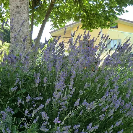 La Casa Di Parpaet Agroturismo Zogno
