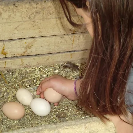 Agroturismo La Casa Di Parpaet